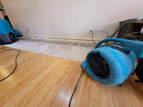 Professional Sewage Cleanup technician working in Bates City, MO